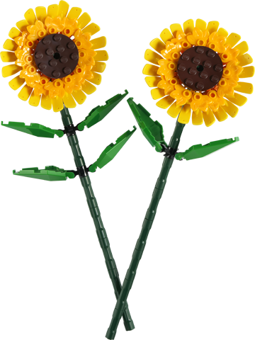 Lego 40524 - Botanicals - Sonnenblumen